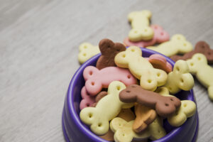dog biscuits